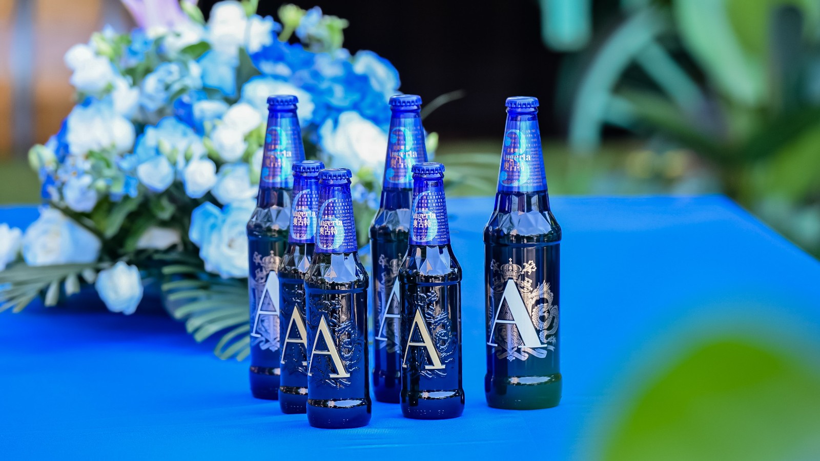 1718941497067029597.jpg 1718941497067029597.jpg